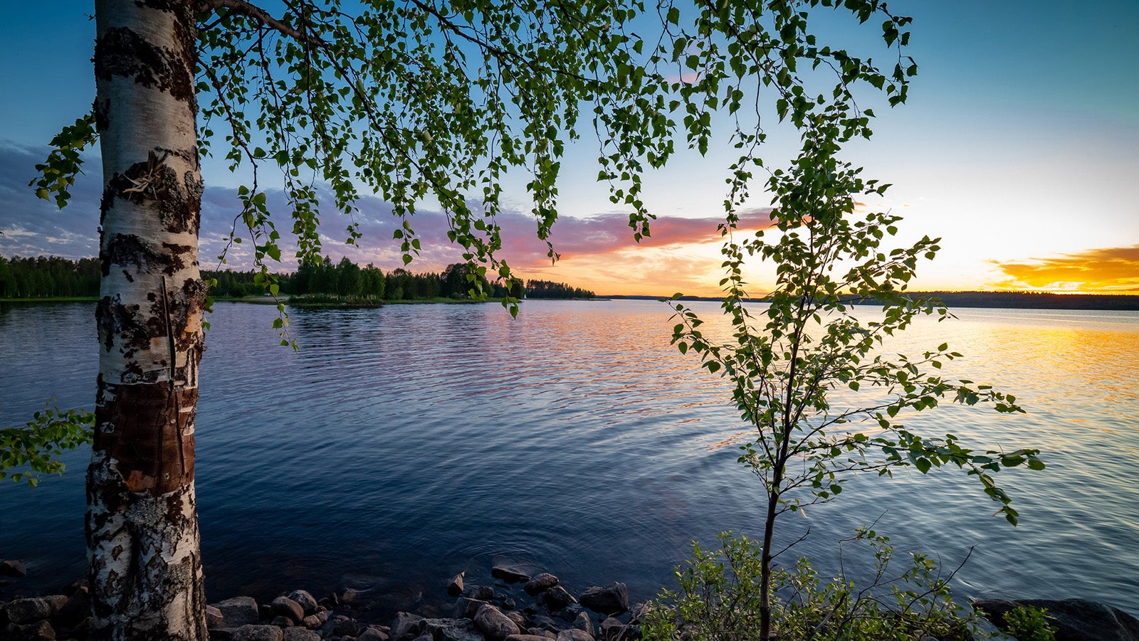 Sommer 2023 war im Norden der wärmste seit 2000 Jahren